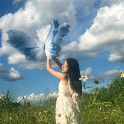 鸟语惊魂